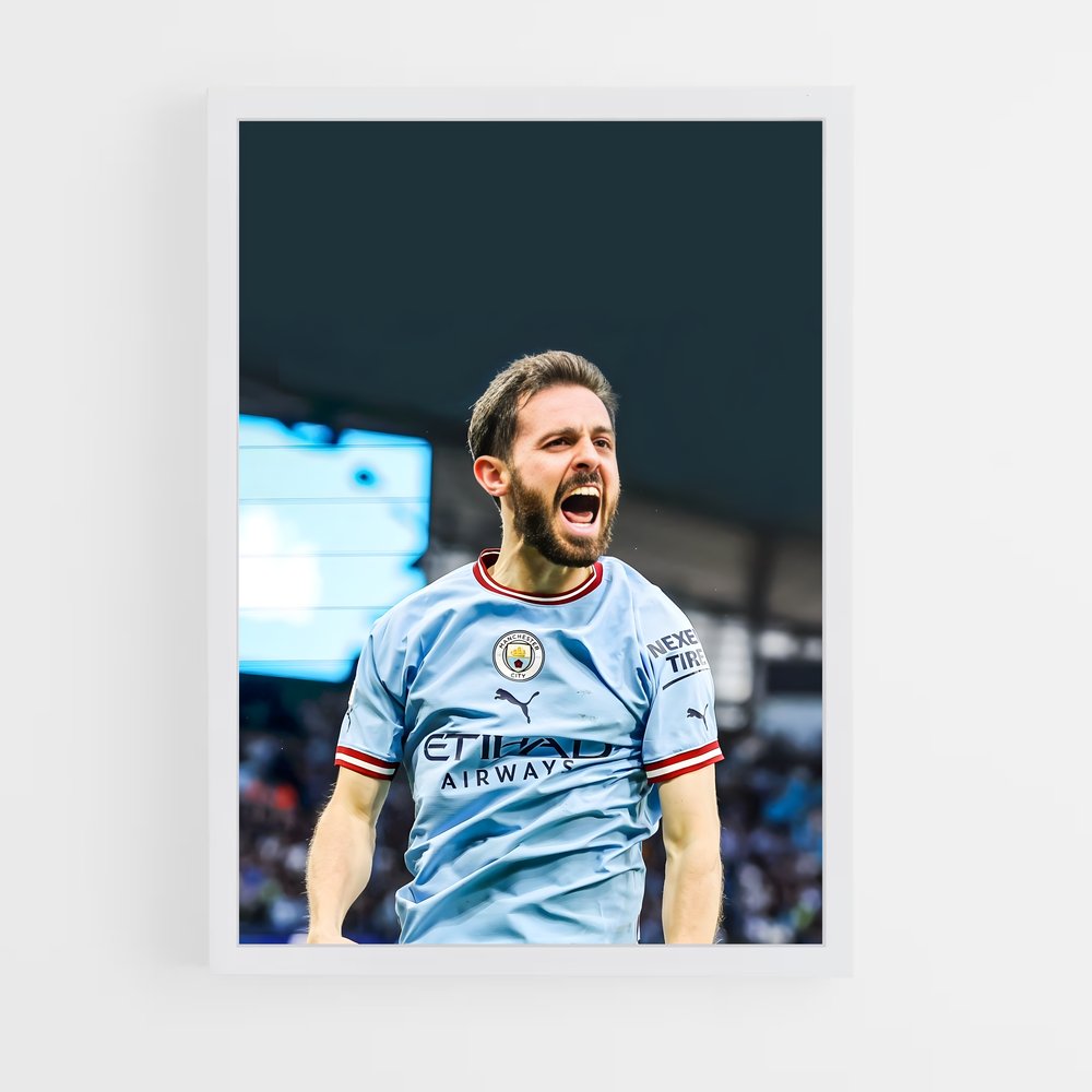 ap-bernardo silva-1 cadre Blanc