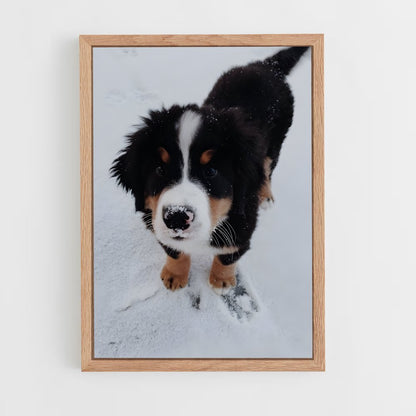 ap-bernese mountain dog-1 cadre Bois clair