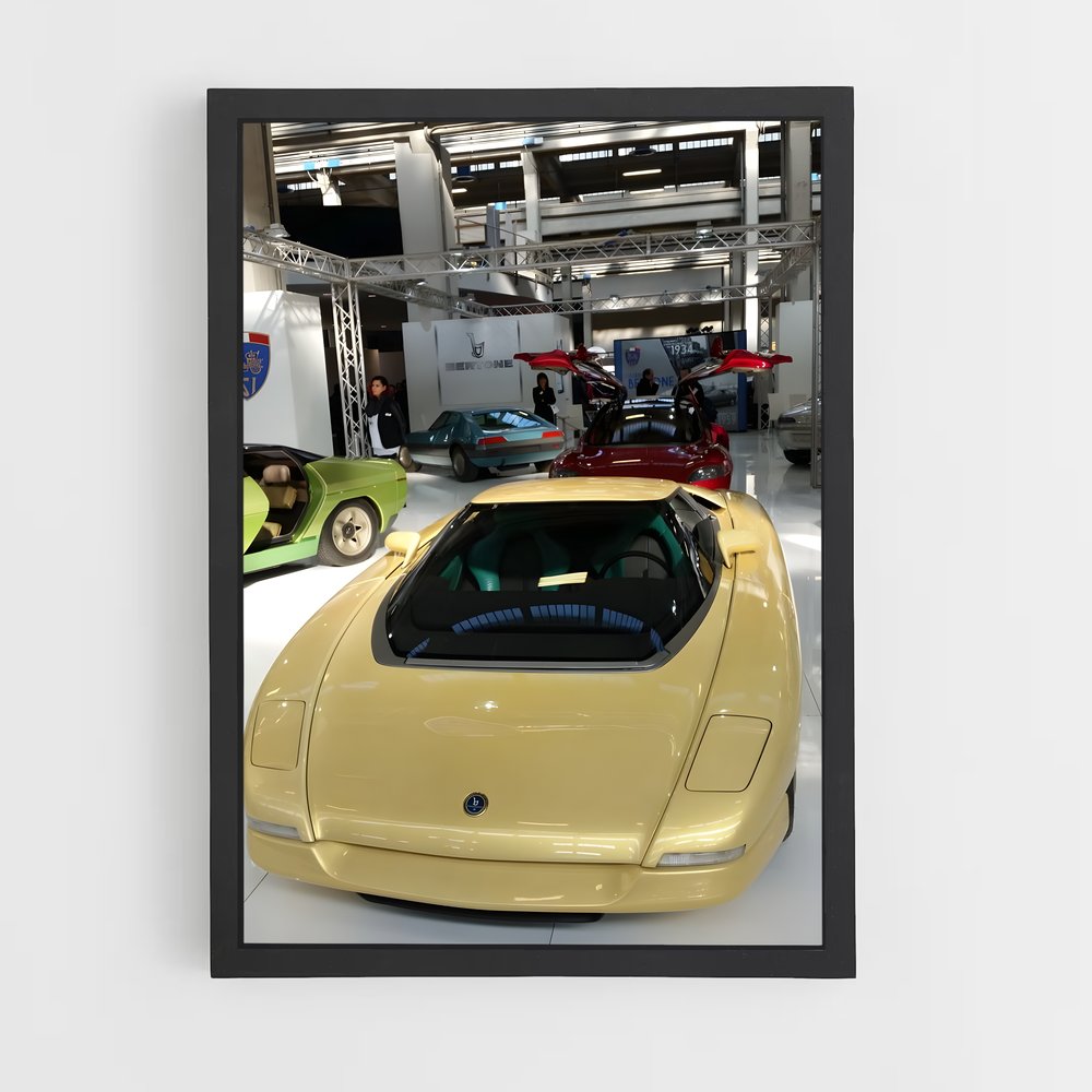 ap-bertone-1 cadre Noir