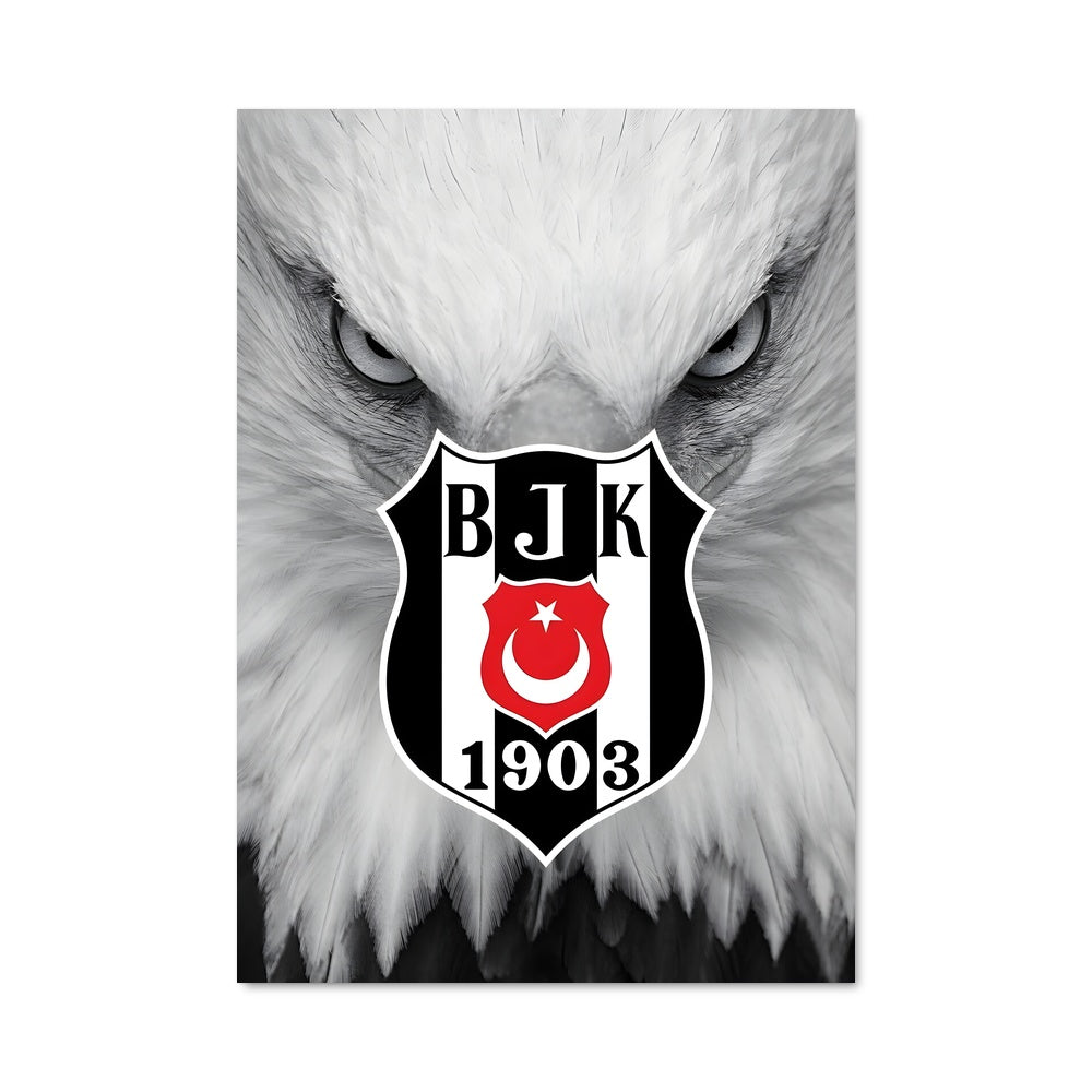 Poster L'Esprit de Beşiktaş