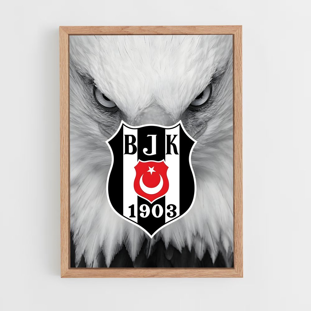 ap-besiktas jk-14 cadre Bois clair