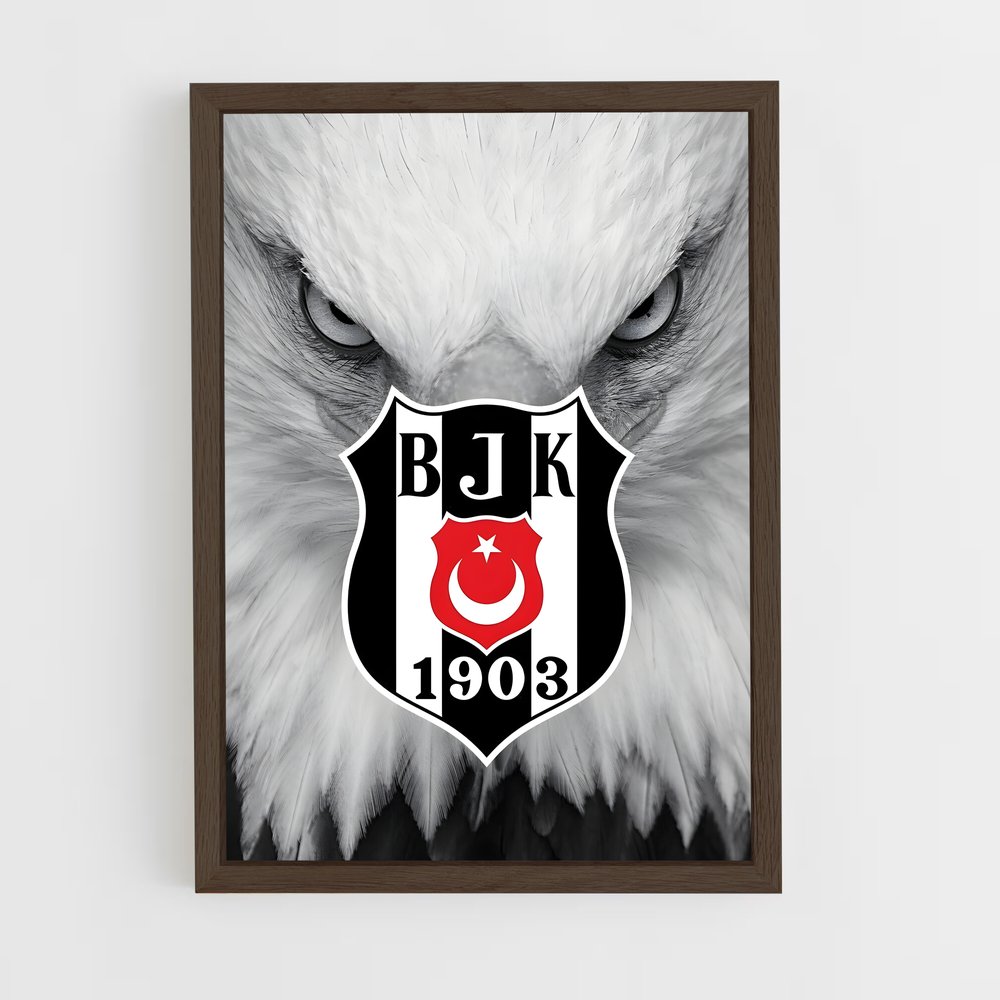 ap-besiktas jk-14 cadre Bois foncé