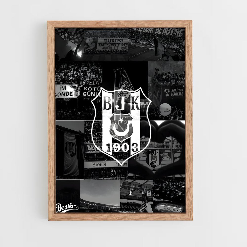ap-besiktas jk-8 cadre Bois clair