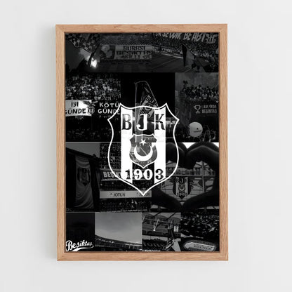 ap-besiktas jk-8 cadre Bois clair