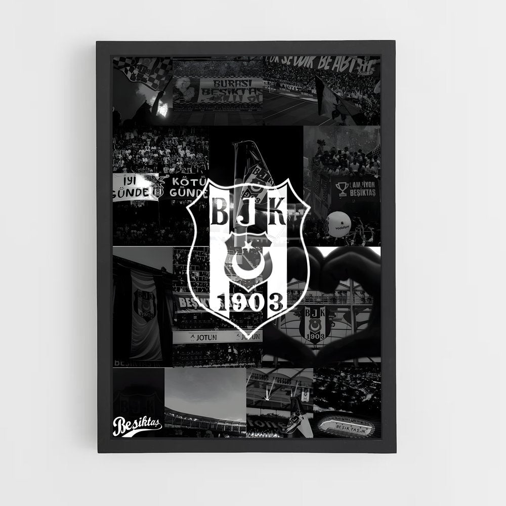 ap-besiktas jk-8 cadre Noir