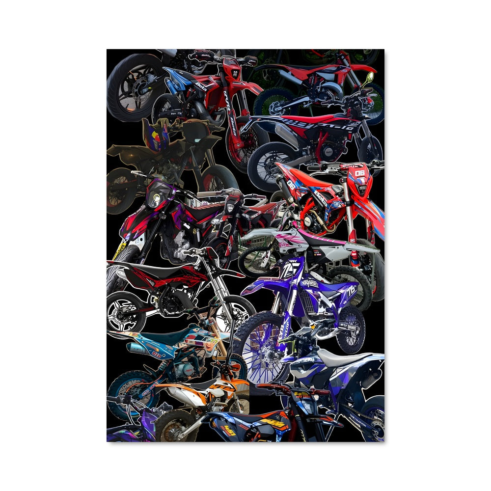 Poster Riders Unleashed