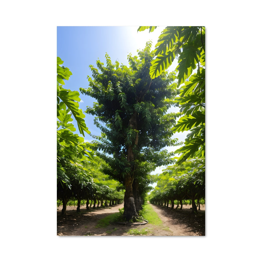 Poster La Sève de Vie