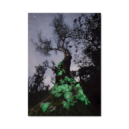 Poster L'Arbre Luminescent