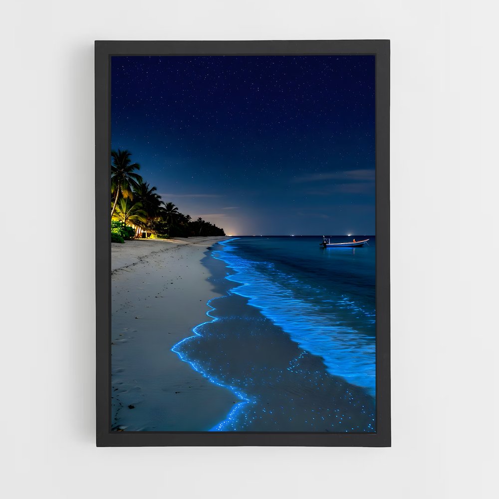 ap-bioluminescent beaches-17 cadre Noir