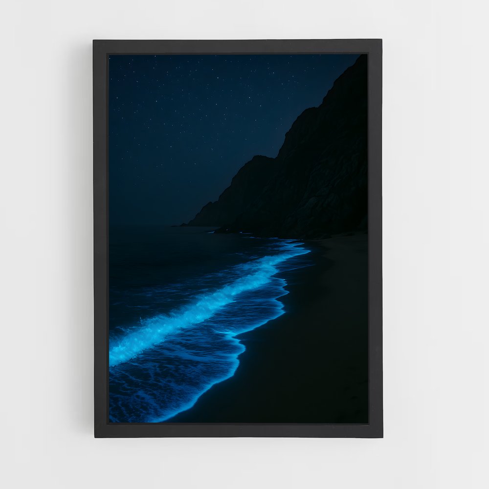 ap-bioluminescent beaches-18 cadre Noir