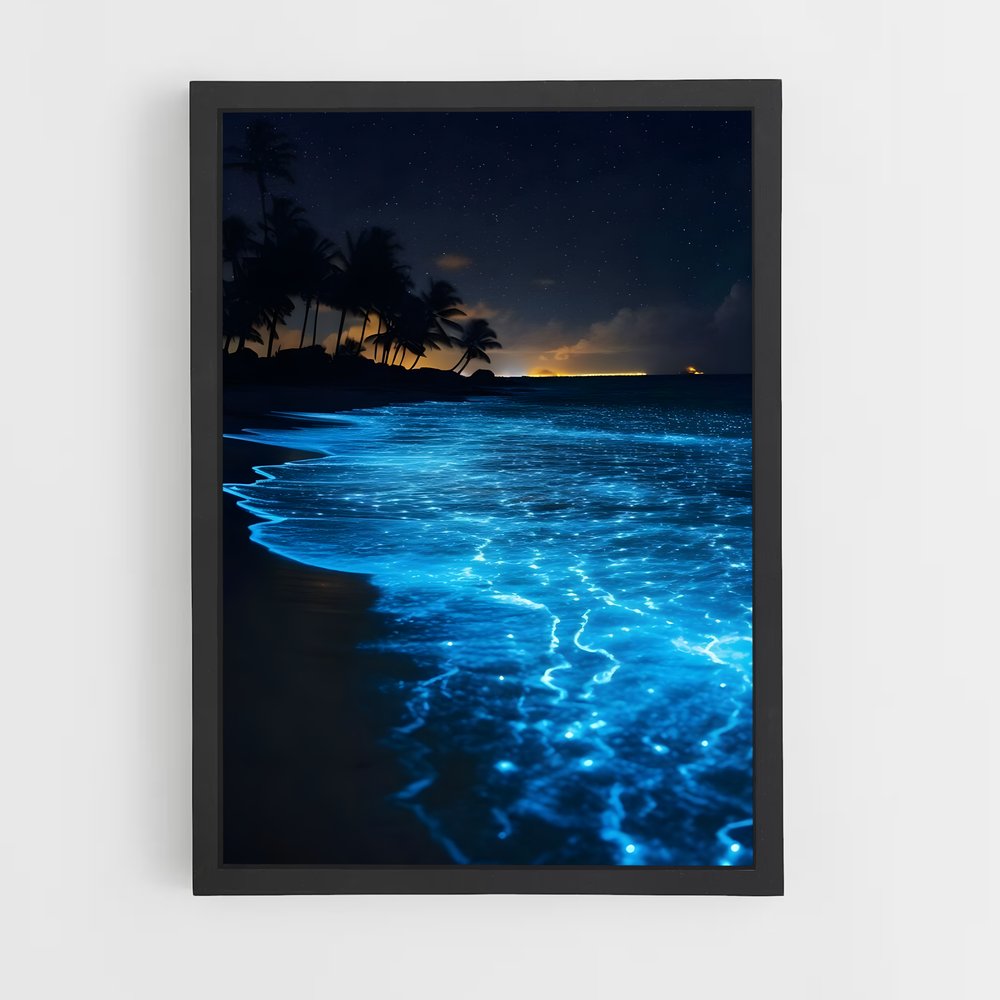 ap-bioluminescent beaches-6 cadre Noir