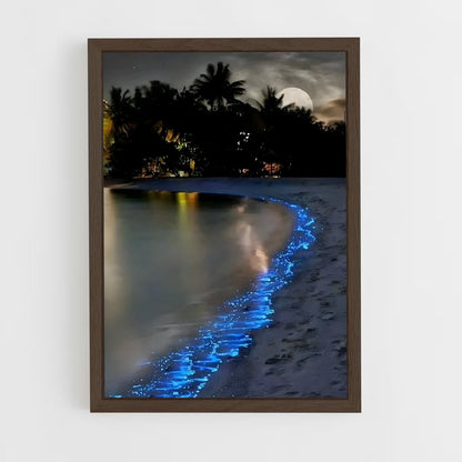 ap-bioluminescent beaches-8 cadre Bois foncé