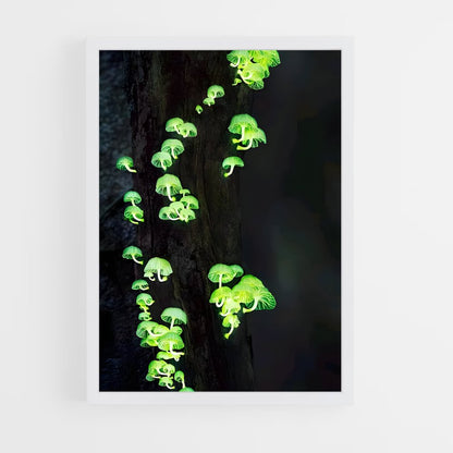 ap-bioluminescent mushroom-1 cadre Blanc