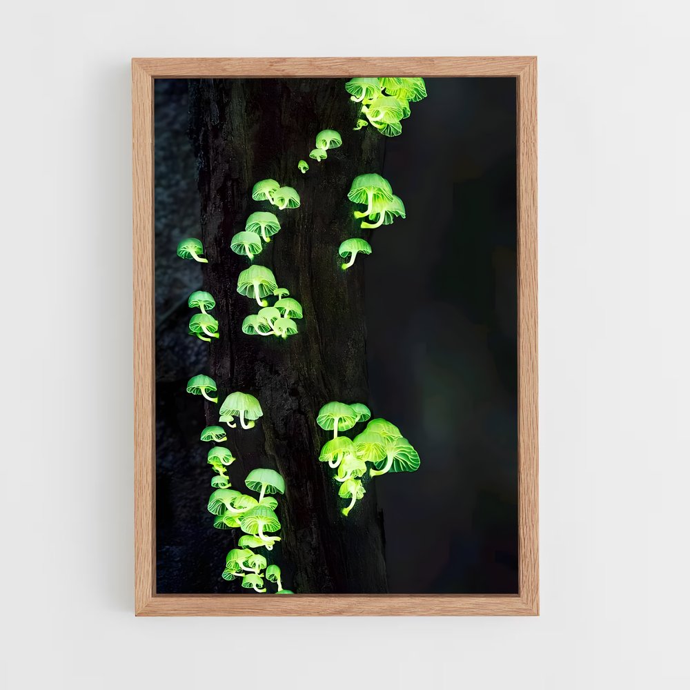 ap-bioluminescent mushroom-1 cadre Bois clair