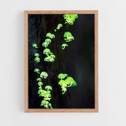 ap-bioluminescent mushroom-1 cadre Bois clair