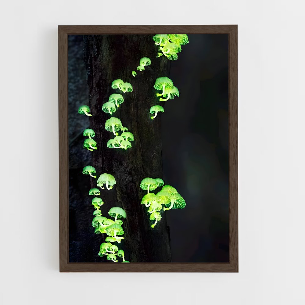 ap-bioluminescent mushroom-1 cadre Bois foncé