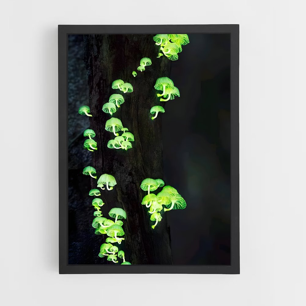 ap-bioluminescent mushroom-1 cadre Noir
