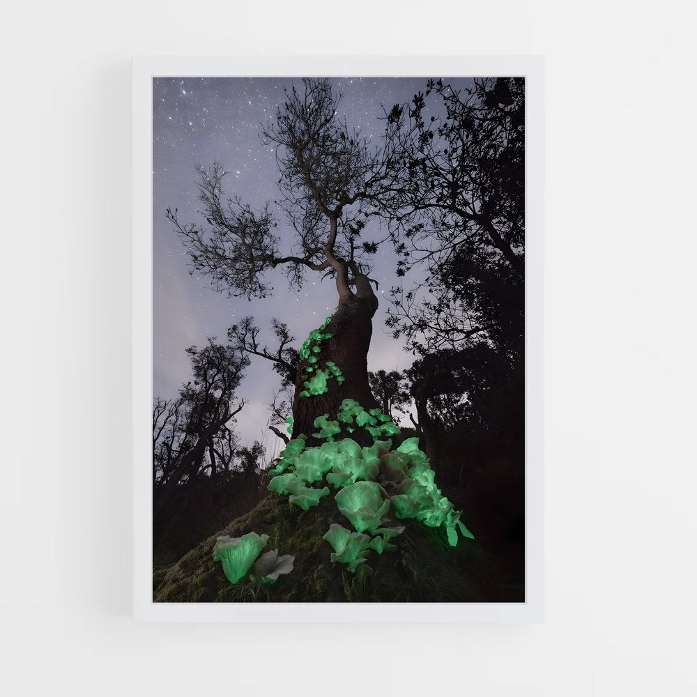 ap-bioluminescent mushroom-2 cadre Blanc