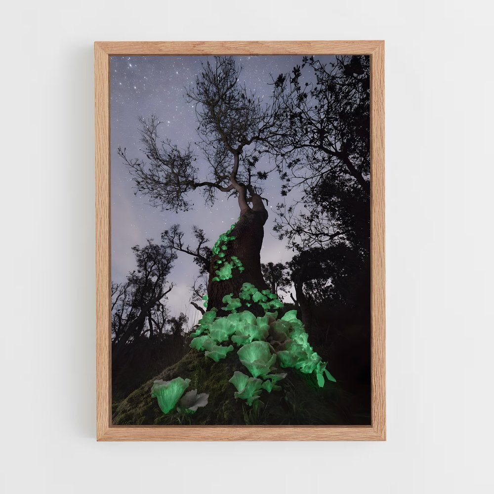ap-bioluminescent mushroom-2 cadre Bois clair