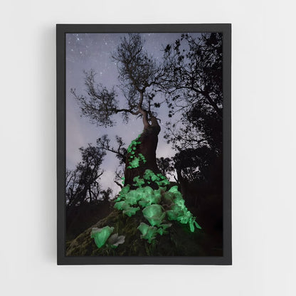 ap-bioluminescent mushroom-2 cadre Noir