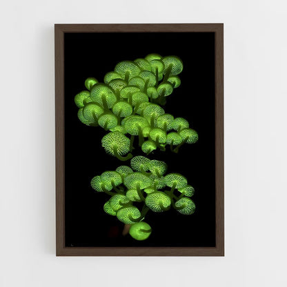 ap-bioluminescent mushroom-3 cadre Bois foncé