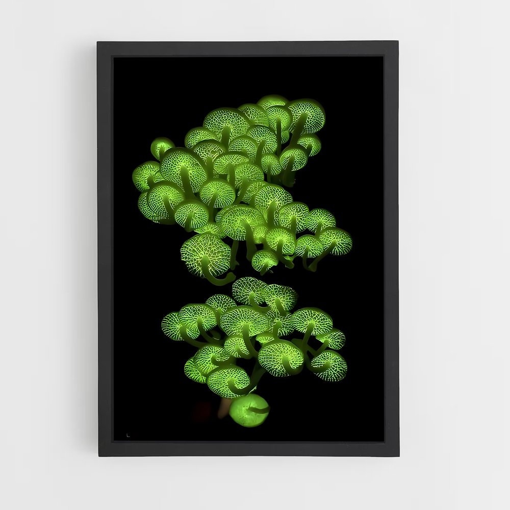 ap-bioluminescent mushroom-3 cadre Noir