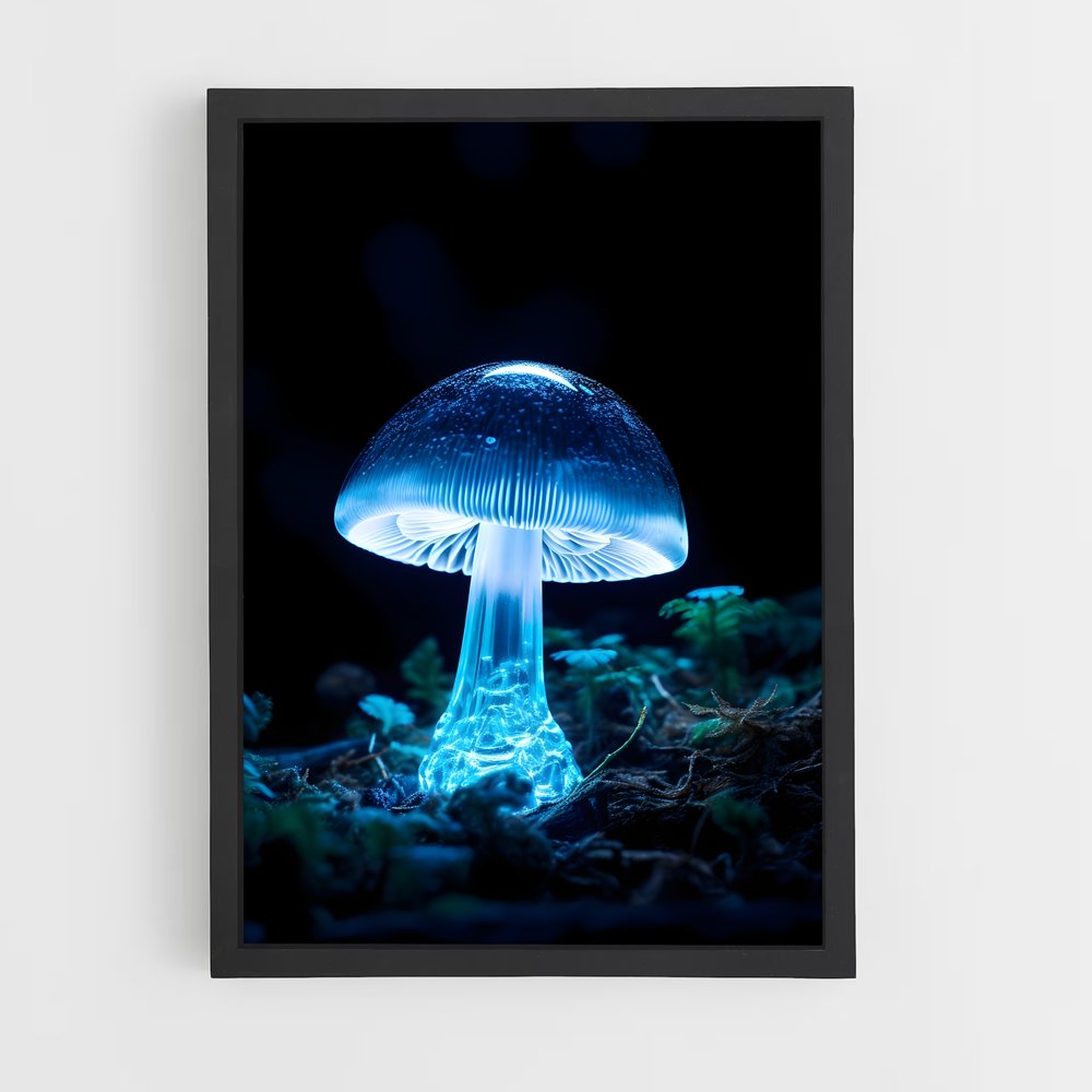ap-bioluminescent mushroom-4 cadre Noir