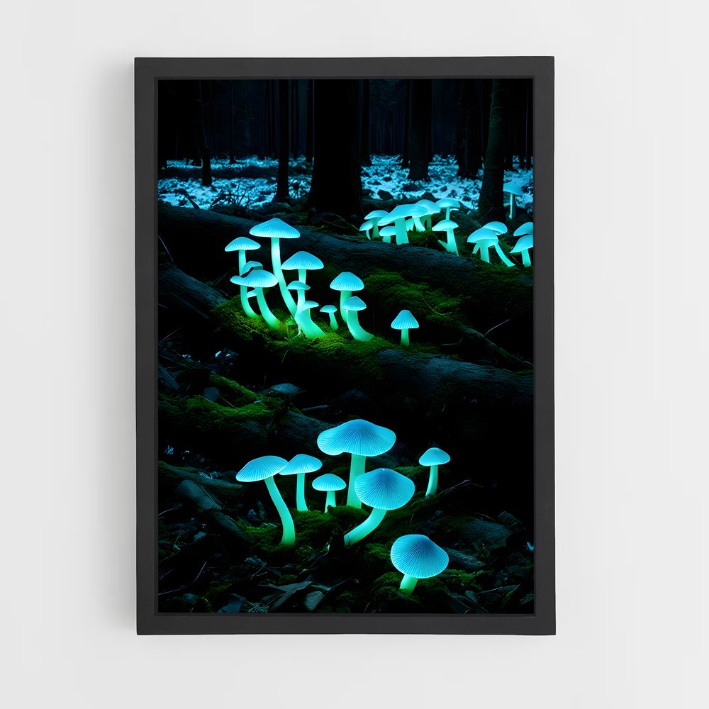 ap-bioluminescent mushroom-6 cadre Noir