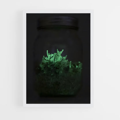 ap-bioluminescent mushroom-7 cadre Blanc