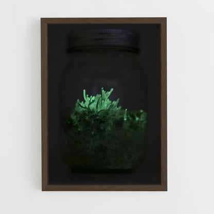 ap-bioluminescent mushroom-7 cadre Bois foncé