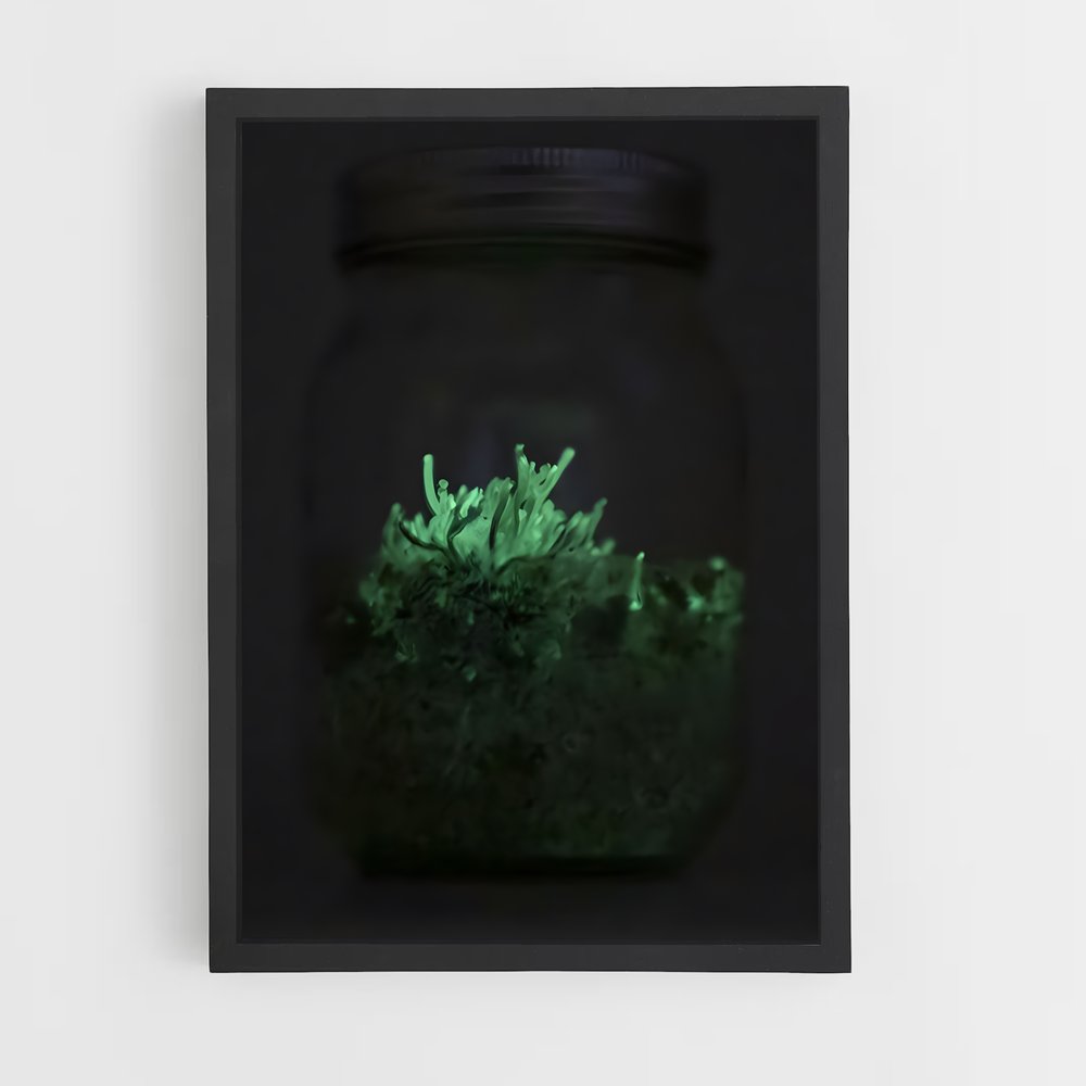 ap-bioluminescent mushroom-7 cadre Noir