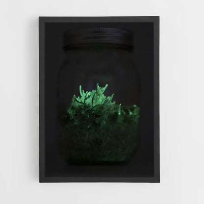 ap-bioluminescent mushroom-7 cadre Noir