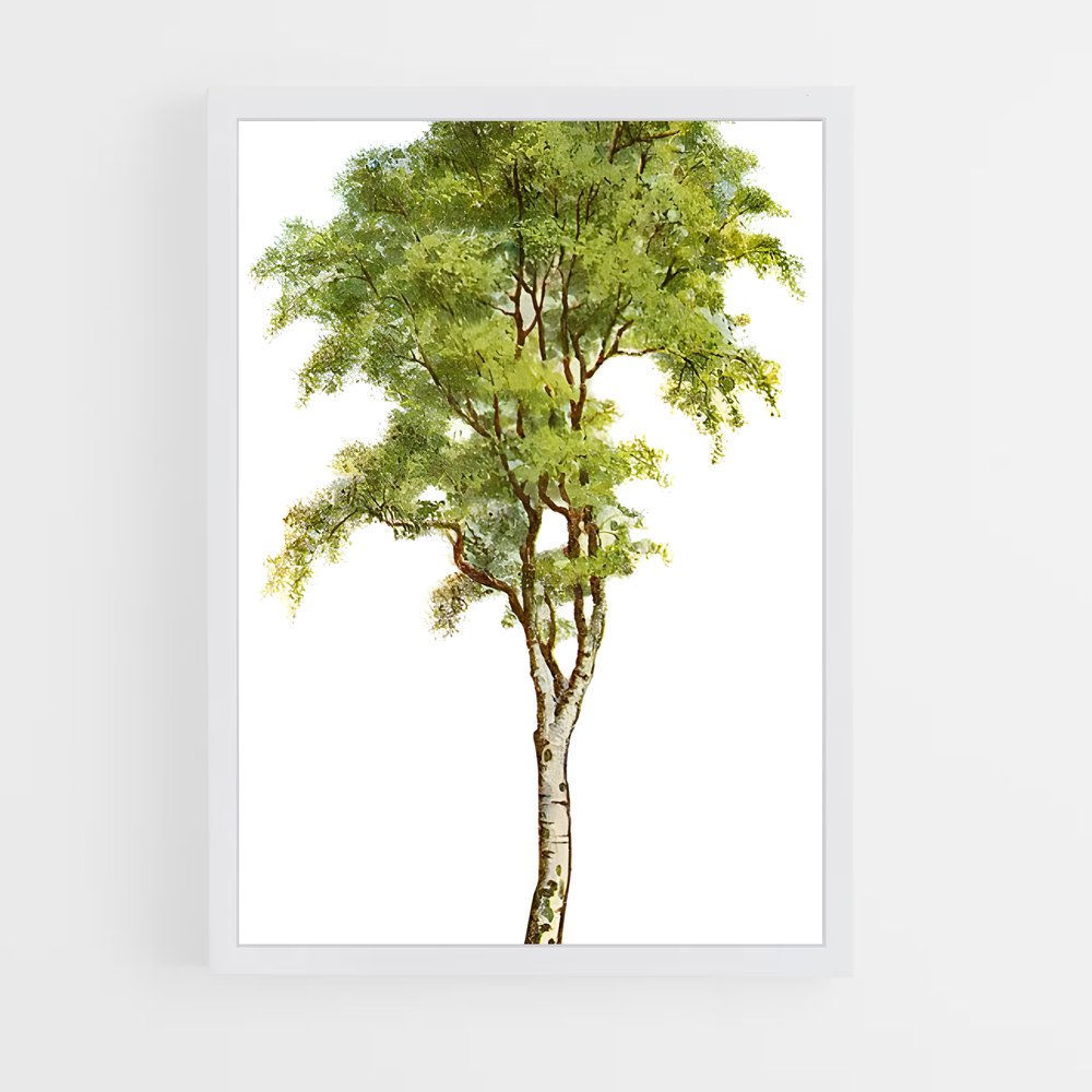 ap-birch-3 cadre Blanc