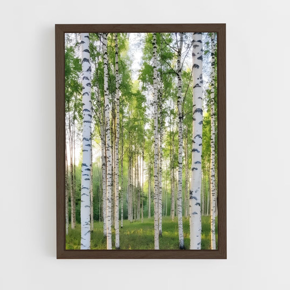 ap-birch-8 cadre Bois foncé