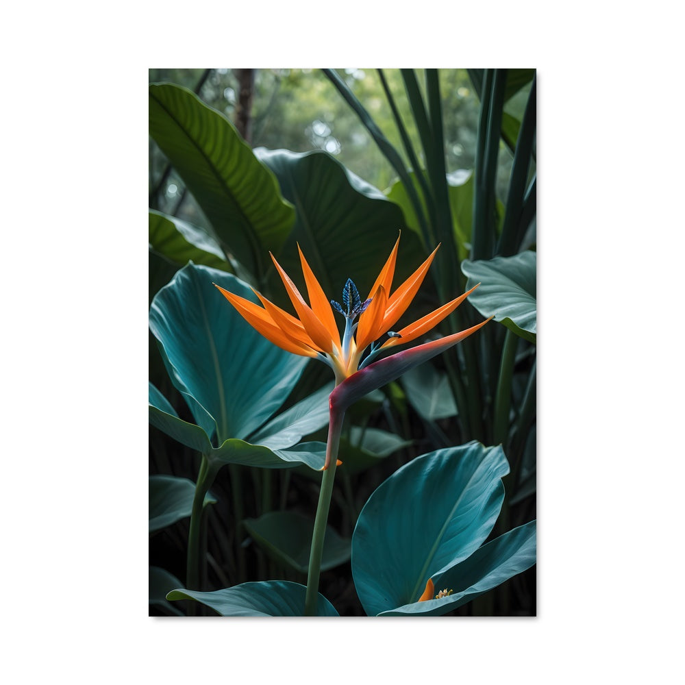 Poster Paradis Floréal