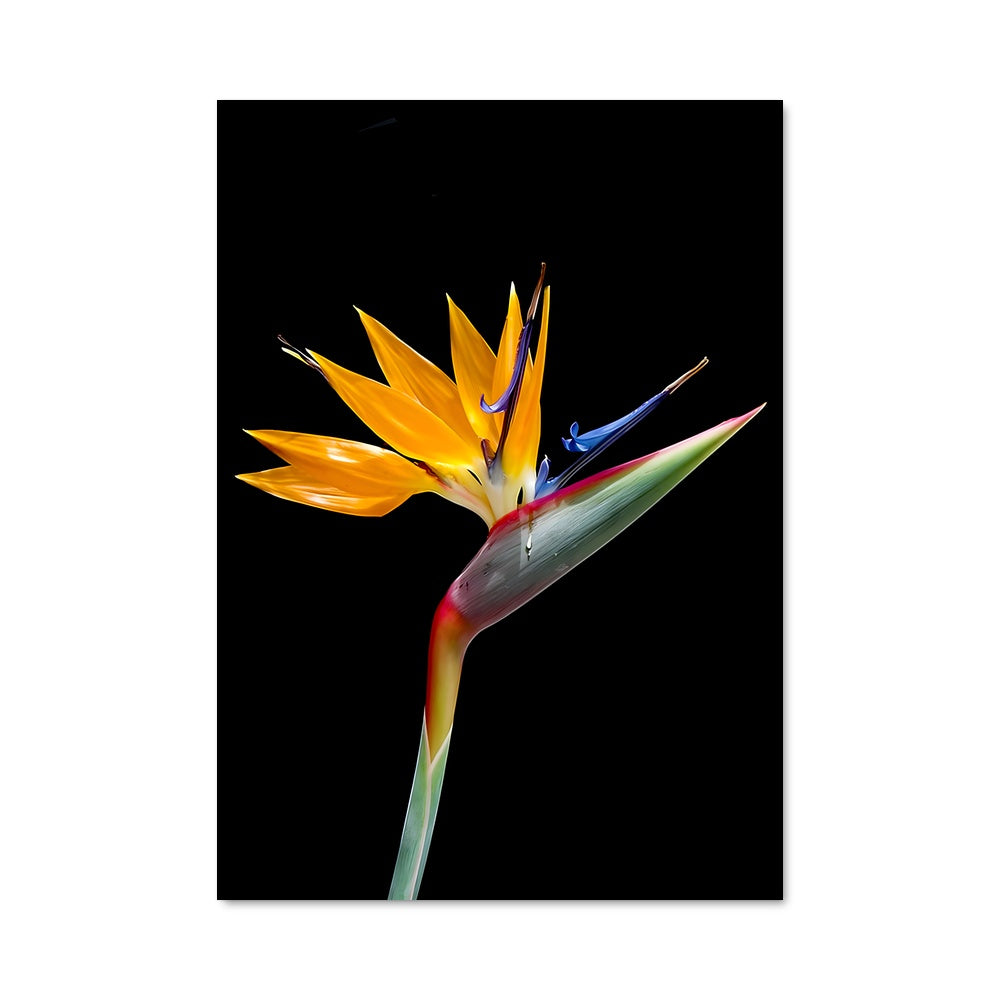 Poster Paradis Floral