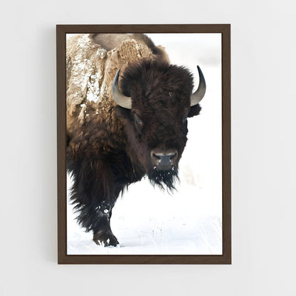 ap-bison-5 cadre Bois foncé
