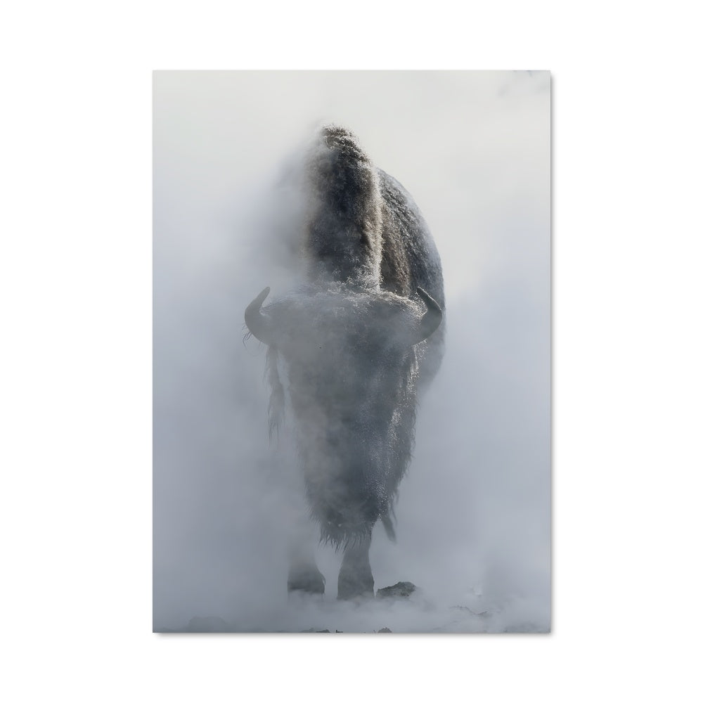 Poster Bison 83157