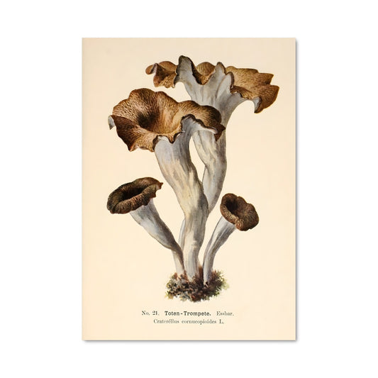 Poster Black trumpet 94183