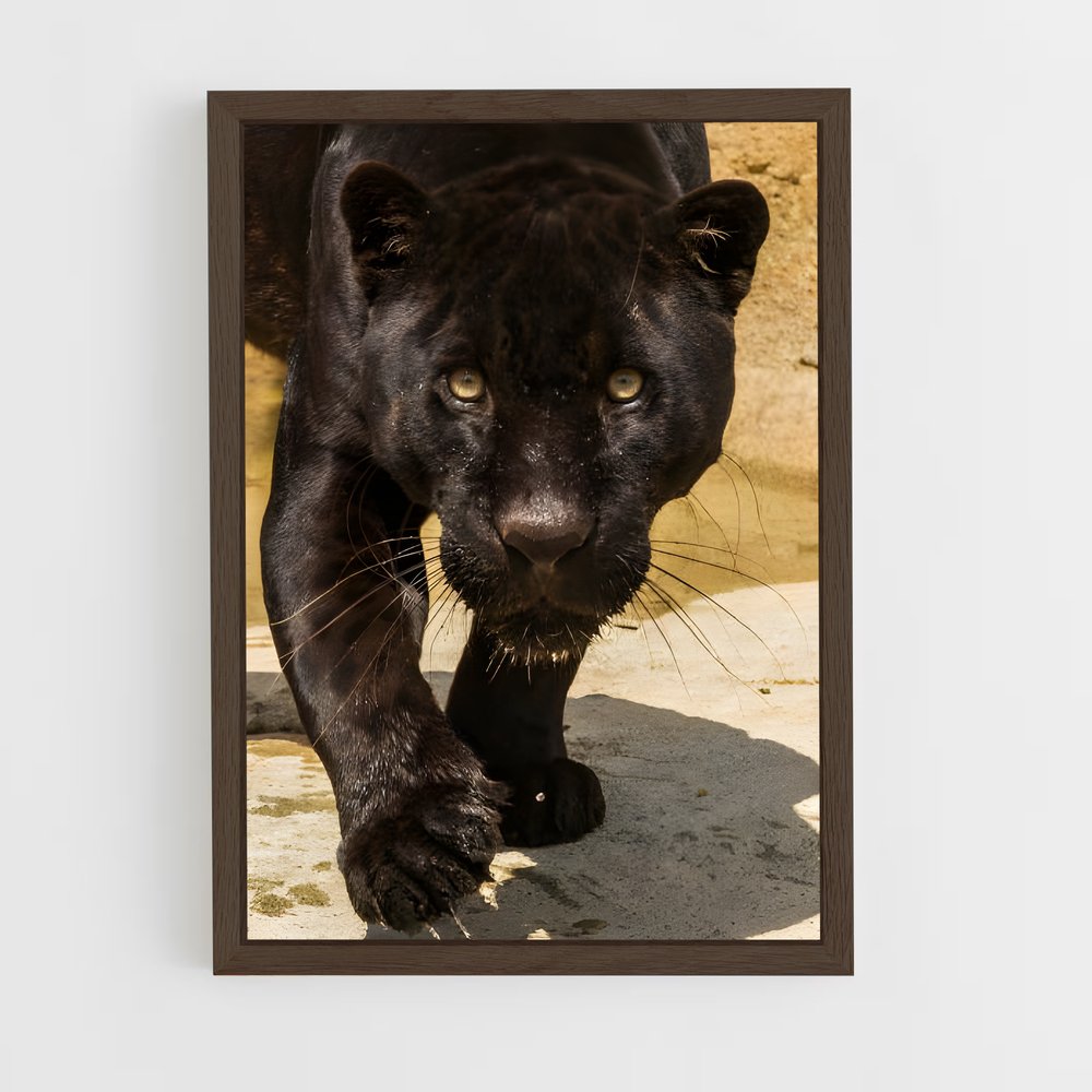 ap-black panther-21 cadre Bois foncé