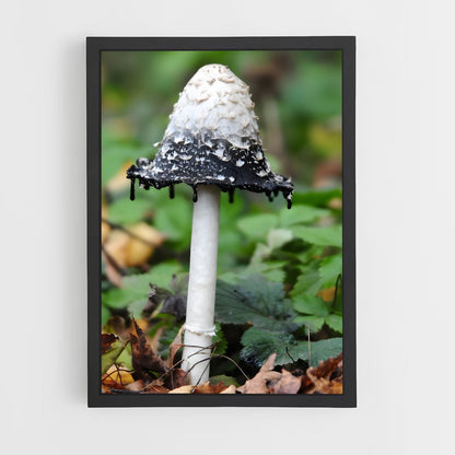 ap-bleeding tooth fungus-1 cadre Noir