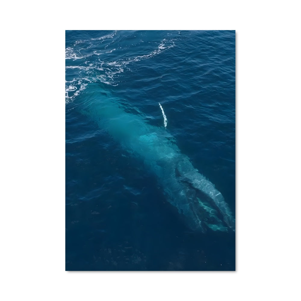 Poster Écho des Profondeurs