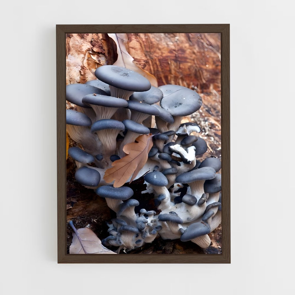 ap-blue oyster-1 cadre Bois foncé