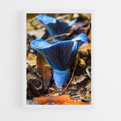 ap-blue oyster-2 cadre Blanc