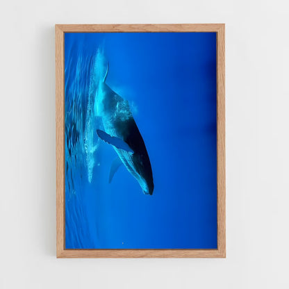 ap-blue whale-2 cadre Bois clair