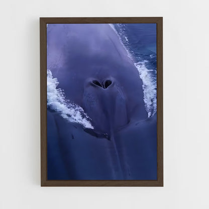 ap-blue whale-7 cadre Bois foncé