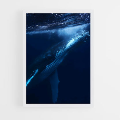 ap-blue whale-8 cadre Blanc