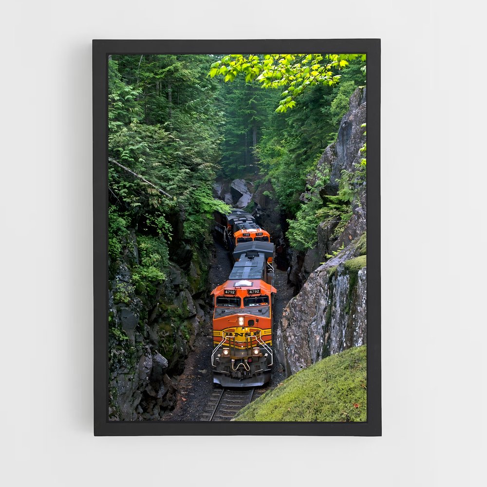 ap-bnsf railway-3 cadre Noir