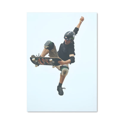 Poster Bob burnquist 68043