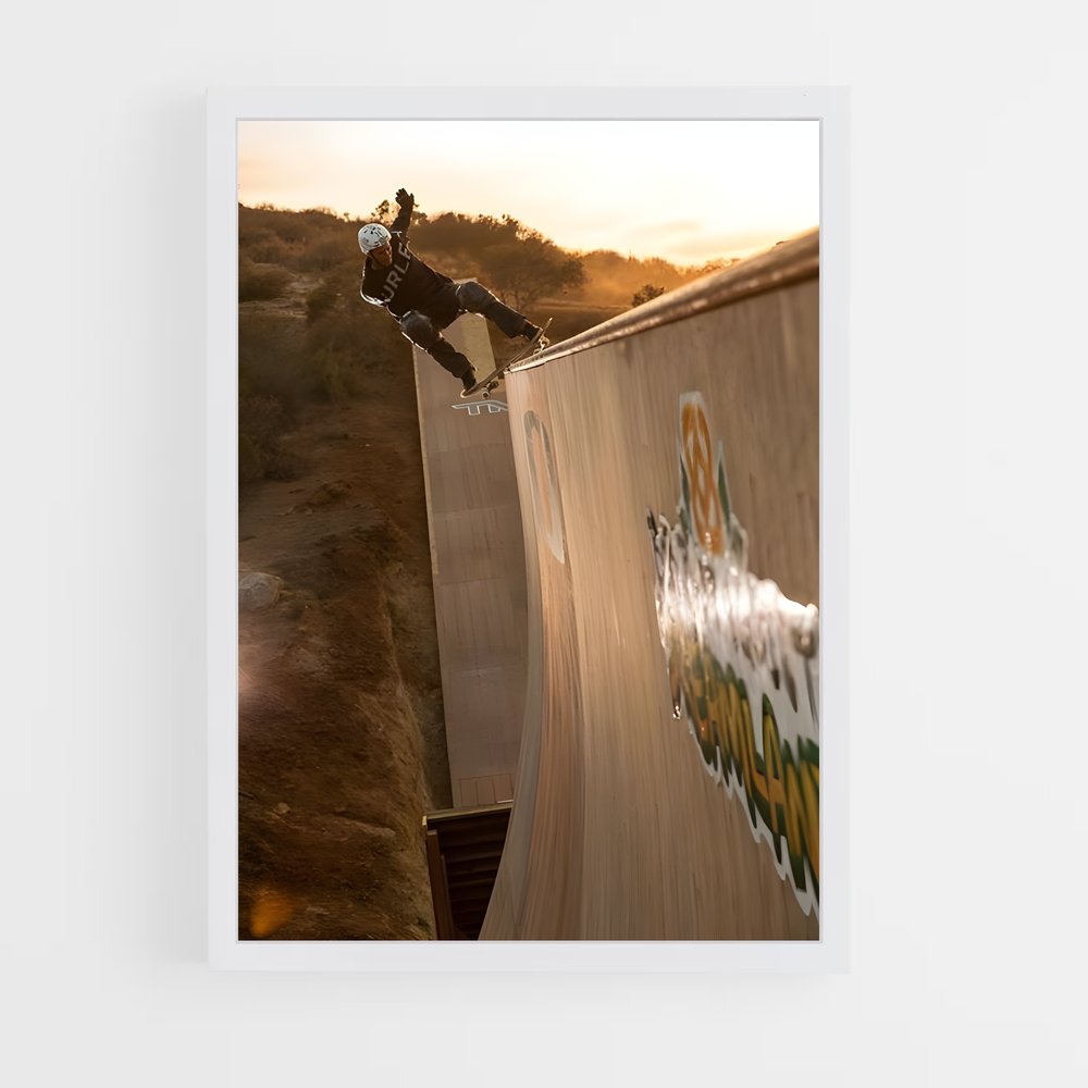 ap-bob burnquist-3 cadre Blanc